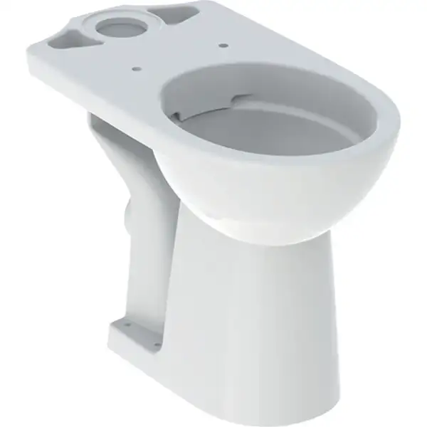 Geberit Selnova Comfort Унітаз підлоговий, білий (500.486.01.7)