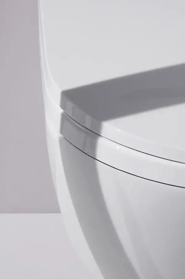 Унитаз-биде Rimless (безободковый) Laufen Cleanet Riva (сиденье в комплекте), белый глянцевый (820691.400.000.1) фото 20 Aquada.com.ua
