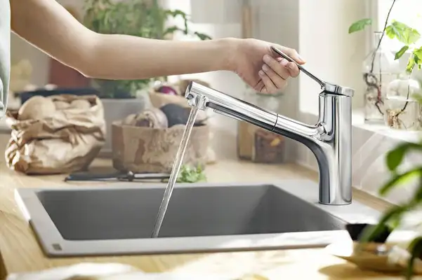 Кухонный смеситель 2 вида струи, sBox Hansgrohe Zesis M33 (цвет - хром) 74821000