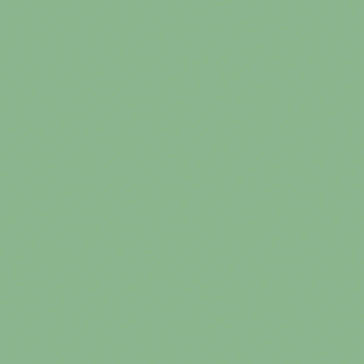 Плитка стінова Gamma Зелений Блиск 19,8x19,8 код 5107 Ceramika Paradyz (S---198X198-1-GAMA.ZI---B)