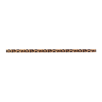КОТТО КЕРАМІКА Фриз скляний GFР 6025041 print41  25 х 600 х 8 Кераміка Лео УКРАЇНА