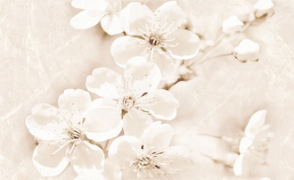 Cersanit Декор Sofi Flower 25x40 код 7148 Церсаніт (TDZZ1253181079)