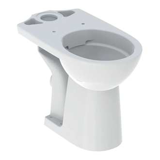 Geberit Selnova Comfort Унитаз напольный, белый (500.486.01.7)
