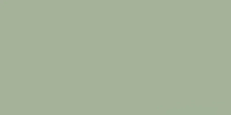 PARADYZ Feelings Green Плитка настенная, зеленая (S-R-298X598-1-FEES.GN)