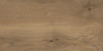 Плитка керамогранітна Taiga Brown MAT 310x620x8 StarGres (5907518303621)