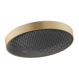 Верхний душ Ø 250 мм Hansgrohe Rainfinity, 1 тип струи (цвет - матовая бронза) (26228140) фото 1 Aquada.com.ua