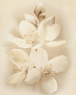 Декор Diana Flower 400x500x8 Cersanit (TDZZ1213771889)