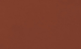Плитка підлогова Rot 148x300x11 Cerrad (5903263446538)