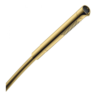 Ручний душ Axor Starck Organic 2jet, Polished Gold Optic (12680990)