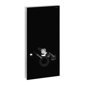 Инсталляция для унитаза Geberit Monolith Premium 131.224.SJ.1 (стекло черное) Geberit AquaClean 8000 высота 101 см (131.224.SJ.1) фото 1 Aquada.com.ua