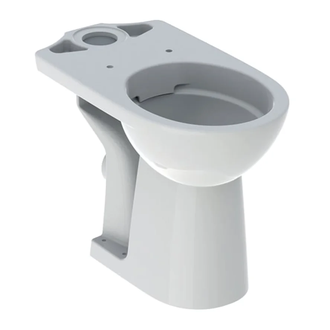 GEBERIT SELNOVA Comfort унитаз напольный Rimfree, воронкоподобный, под бачок внешнего монтажа, горизонтальный выпуск, увеличенной высоты (500.486.01.1) фото 1 Aquada.com.ua