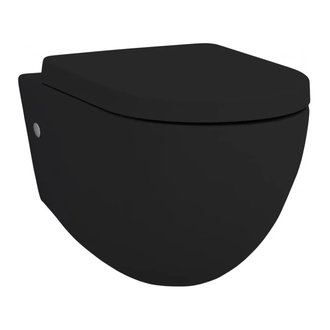 ARTCERAM Унитаз подвесной ArtCeram File 2.0 с сиденьем Soft Close, чёрный (FLV001 03;00+FLA002 03) фото 1 Aquada.com.ua