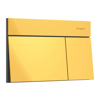 HANSGROHE iFrame E Клавиша смыва, Polished Gold (66003990)