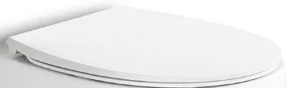 AeT Сиденье с крышкой для унитаза DOT 2.0 (C555R101 soft close) (C555R101)
