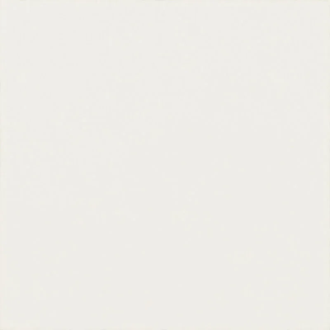 Декор Modern Bianco Taco MAT 4,8x4,8 код 3850 Ceramika Paradyz (L-T-048X048-1-MODN.BI---2)