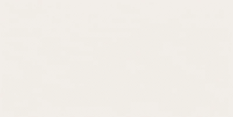 Декор Calm Silver RECT Блиск 29,8x59,8 код 8355 Ceramika Paradyz (S-R-298X598-1-CALM.SIDE)