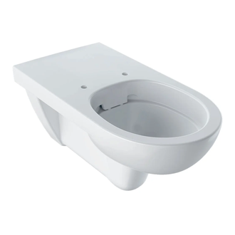 Geberit Selnova Comfort Подвесной унитаз, белый (501.046.00.7)